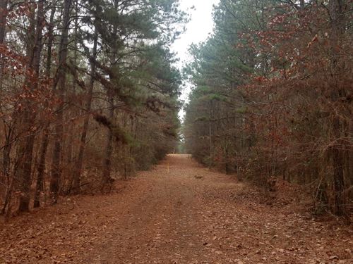 Acadia Land Llc, Bienville Parish : Bienville : Louisiana