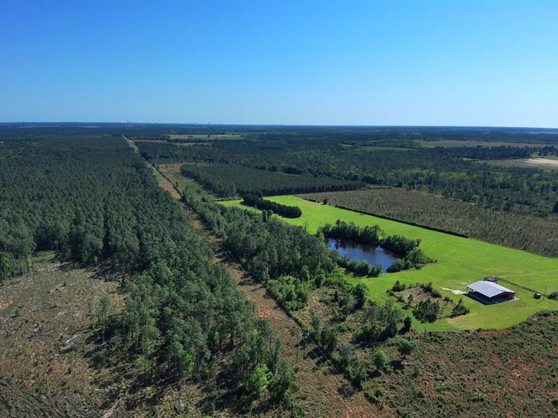 738Ac Elberta AL : Elberta : Baldwin County : Alabama
