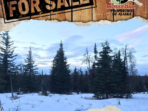 14235 Caribou Hills Rem, Ninilchik : Ninilchik : Kenai Peninsula Borough : Alaska