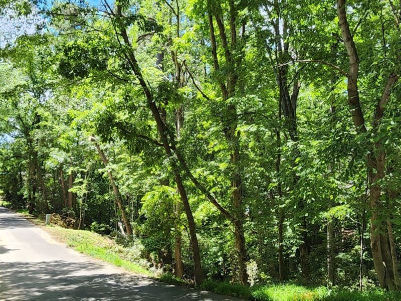 .41Ac, 9064 Tulagi Court Fort : Fort Mill : York County : South Carolina