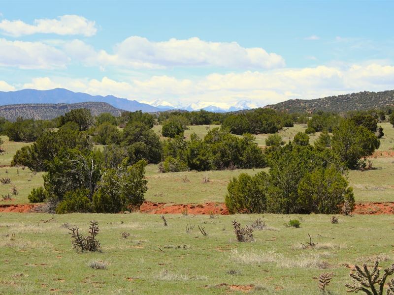 Red Rock Ridge : Canon City : Fremont County : Colorado