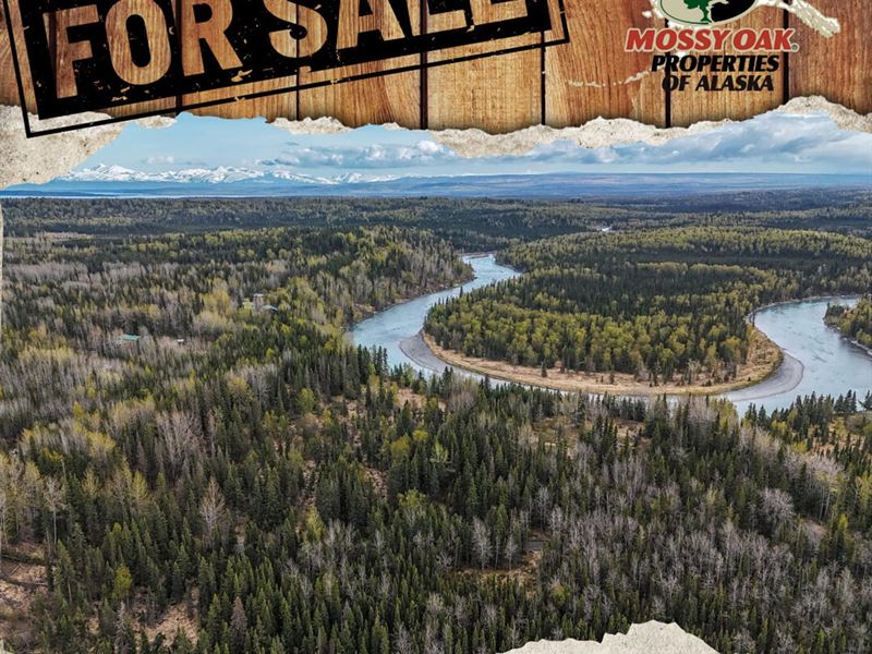 Discover 4.04 Acres of Pristine Ala : Kasilof : Kenai Peninsula Borough : Alaska