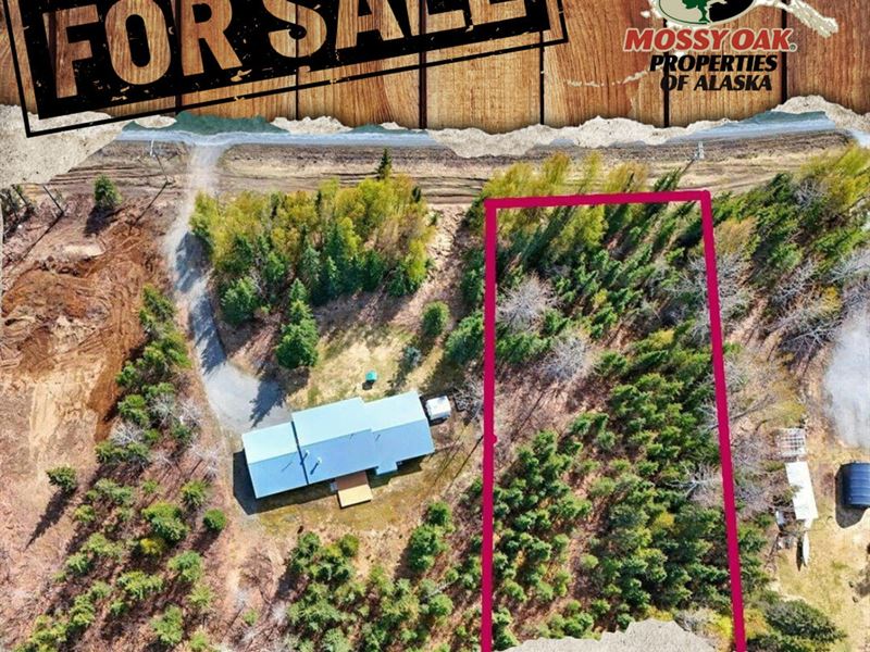 Rare.97-Acre Lot in a Highly Desi : Soldotna : Kenai Peninsula Borough : Alaska