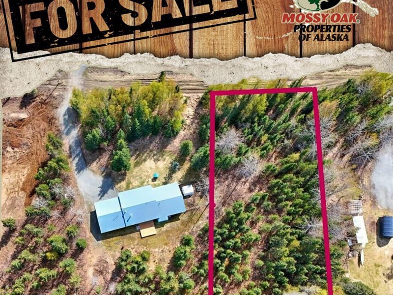 Rare.97-Acre Lot in a Highly Desi : Soldotna : Kenai Peninsula Borough : Alaska