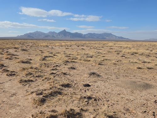 $89 Down, NM 1 Acre : Deming : Luna County : New Mexico