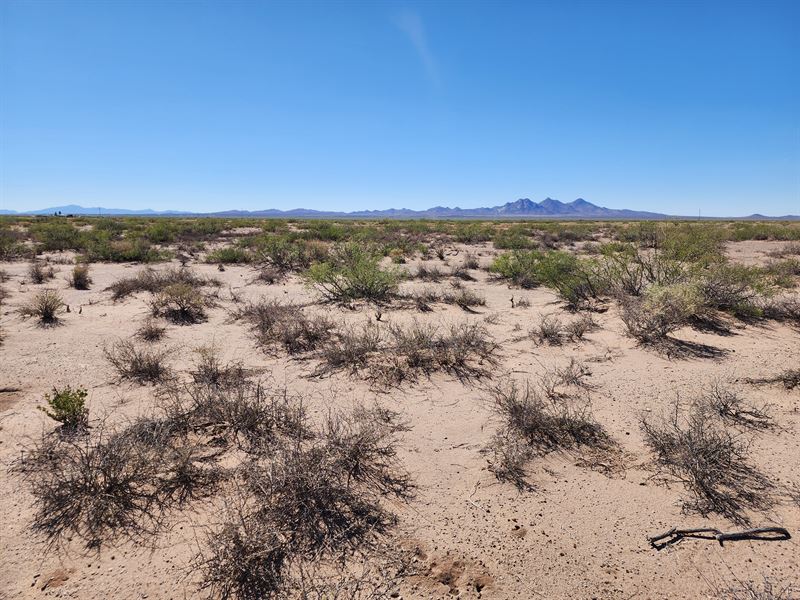 Cheap NM Acre, Yep. $78 : Deming : Luna County : New Mexico