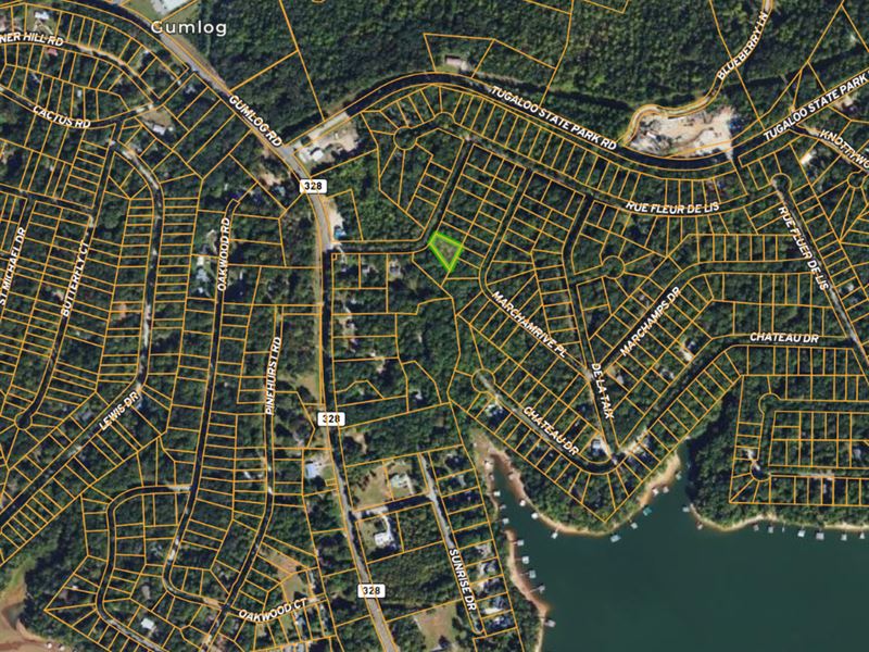 .39 Acre Lot in Lavonia, GA : Lavonia : Franklin County : Georgia