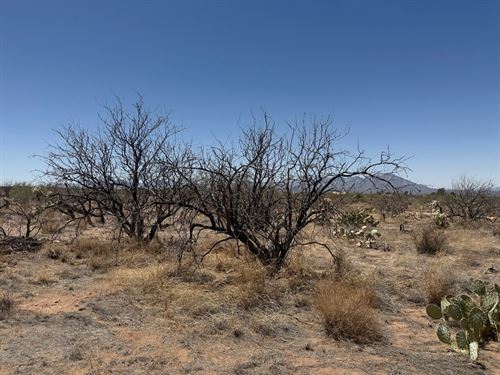 Weekend Warrior's Desert Haven : Tucson : Pima County : Arizona