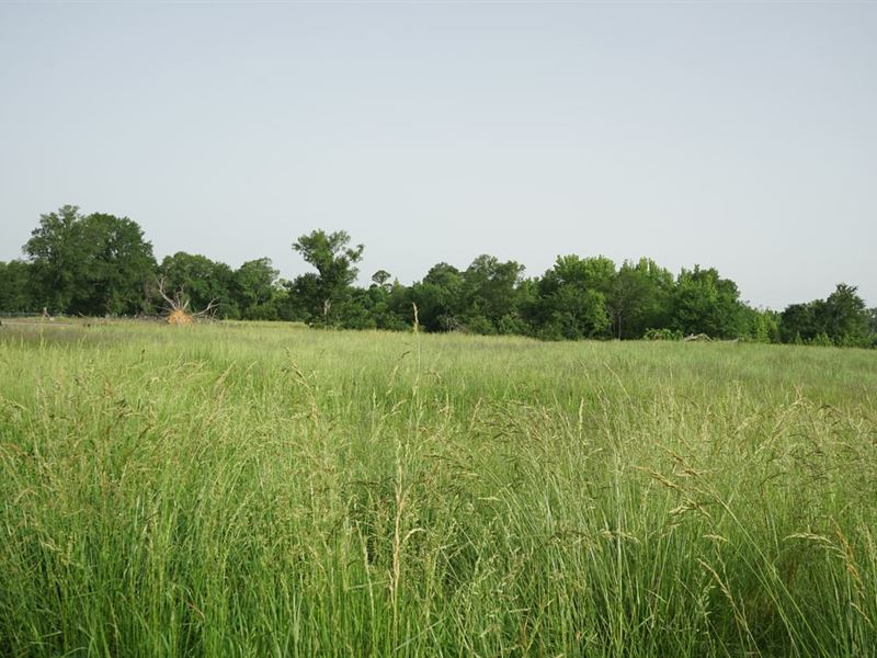 Home with 5000 SQ FT Grow Facility : Sawyer : Choctaw County : Oklahoma
