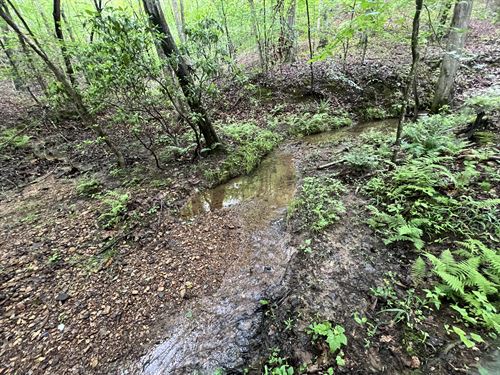 +/-22.5 Acres, Creek & Homesite : Waleska : Cherokee County : Georgia