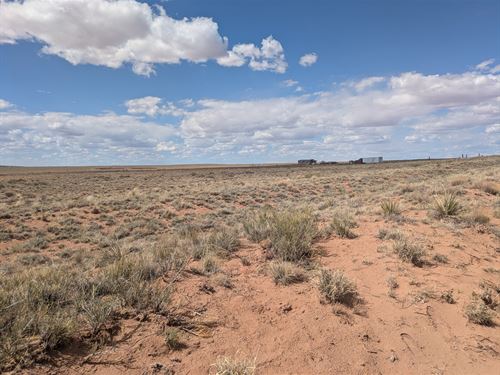 2.5 Acres of Arizona Freedom : Sun Valley : Navajo County : Arizona