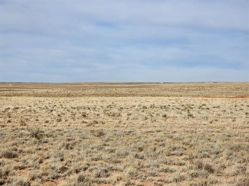 Raw Land, Real Opportunity : Holbrook : Apache County : Arizona