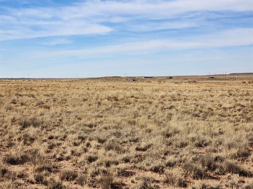 Privacy, Peace & Potential : Holbrook : Apache County : Arizona