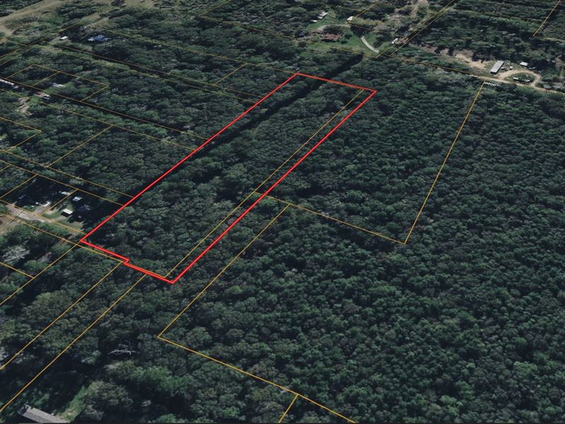 3.856 Acres in Polk County TX : Livingston : Polk County : Texas