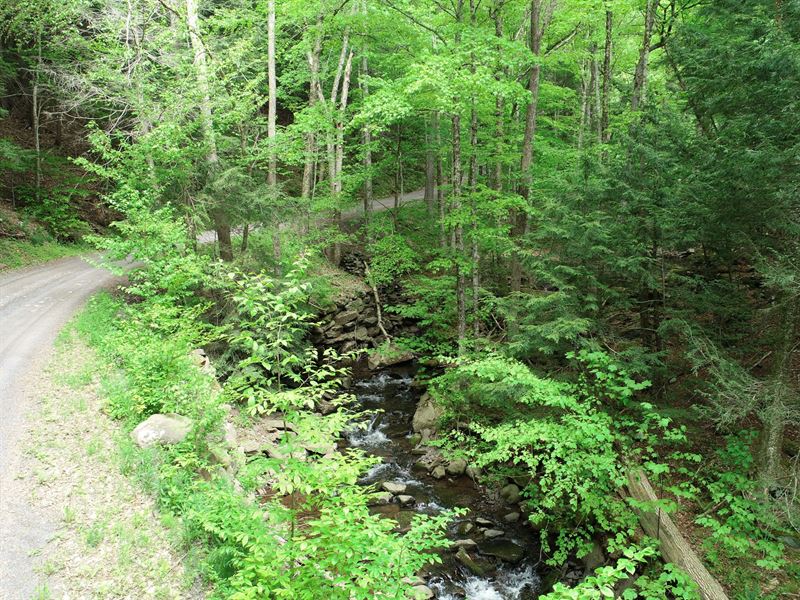 2.9 Acres in Greene County NY : Jewett : Greene County : New York