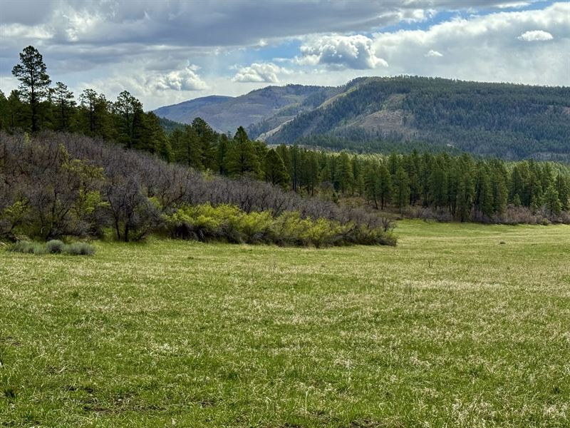 Roaming Elk Ranch : Bayfield : La Plata County : Colorado