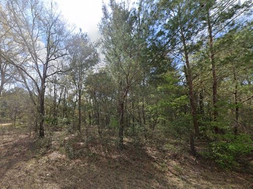 Sale in Hot Interlachen, $49 Down : Interlachen : Putnam County : Florida