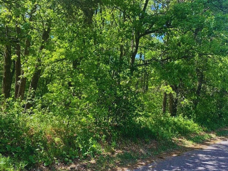 Big Investment Potential $125/Mo : Breezy Point : Crow Wing County : Minnesota