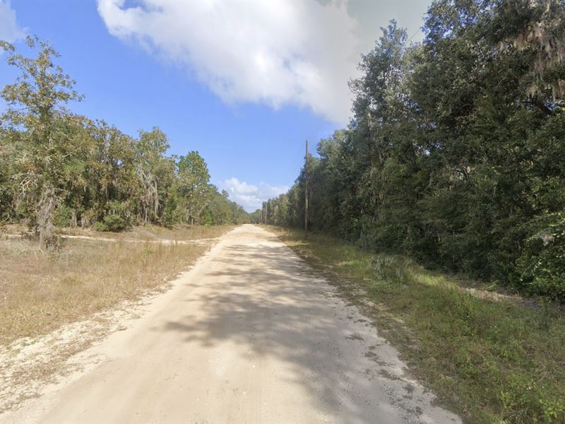 Secluded Homesite Near Georges Lake : Florahome : Putnam County : Florida