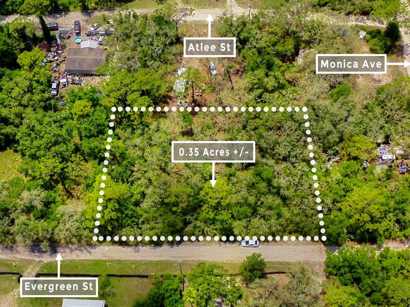 .35 Ac 26 Min From New Port Richey : New Port Richey : Pasco County : Florida