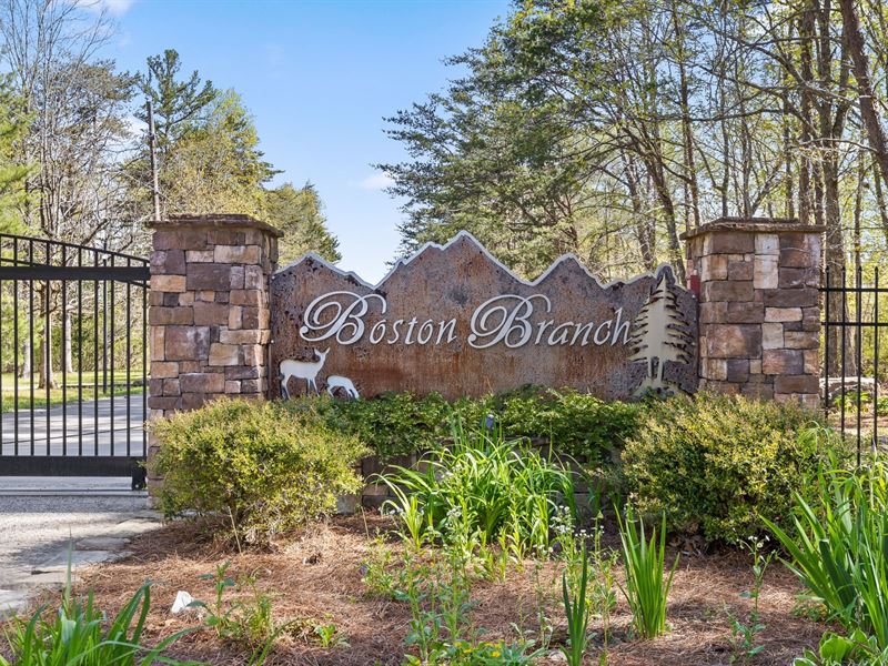 Over 8 Acres Bordering A State Park : Signal Mountain : Hamilton County : Tennessee