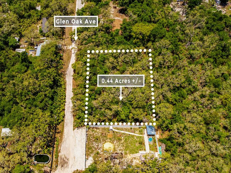 .44 Ac 26 Min From New Port Richey : New Port Richey : Pasco County : Florida