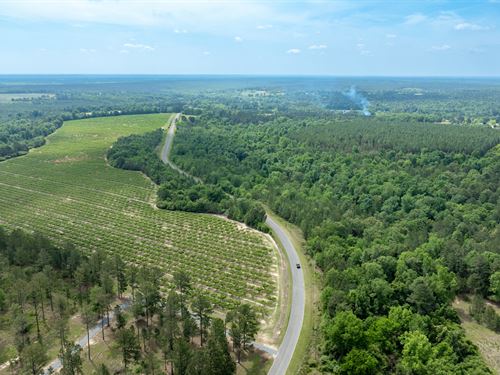 Underwood Road Tract : Reynolds : Taylor County : Georgia