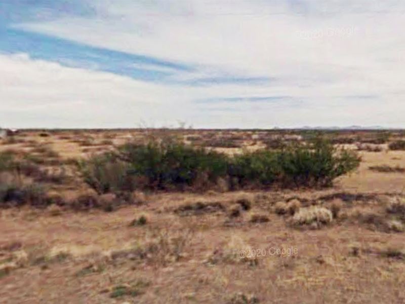 No Zoning Half Acre in Luna County : Deming : Luna County : New Mexico