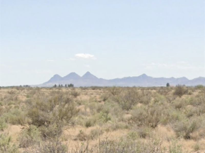 Incredible Half Acre in Luna County : Deming : Luna County : New Mexico
