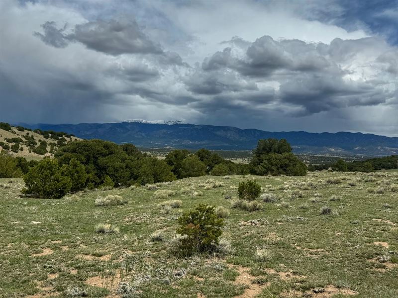 Cl&G 29 Dd, Gardner, Co 81040 : Gardner : Huerfano County : Colorado