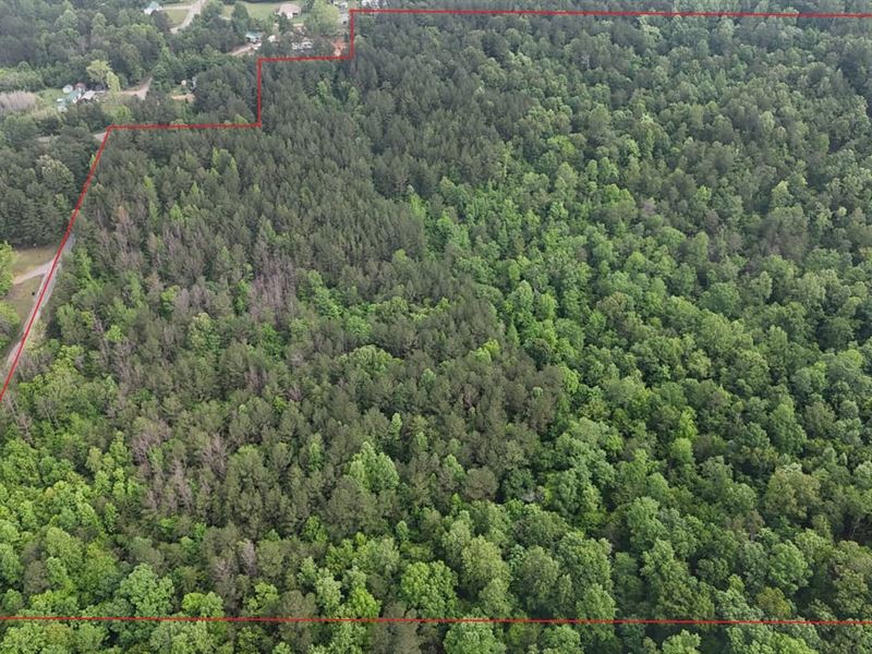 37 Acre Homestead, Hunting and Recr : Double Springs : Winston County : Alabama