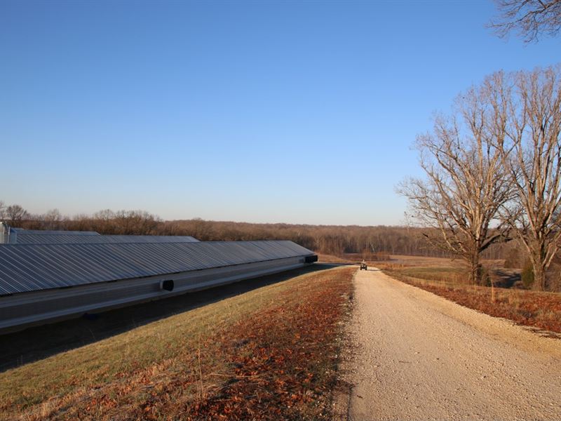 8 New Broiler Houses for Sale : Calvert : Smith County : Texas