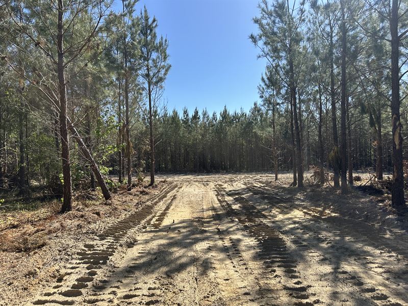 Owner Financed Estate Lot : Swainsboro : Emanuel County : Georgia
