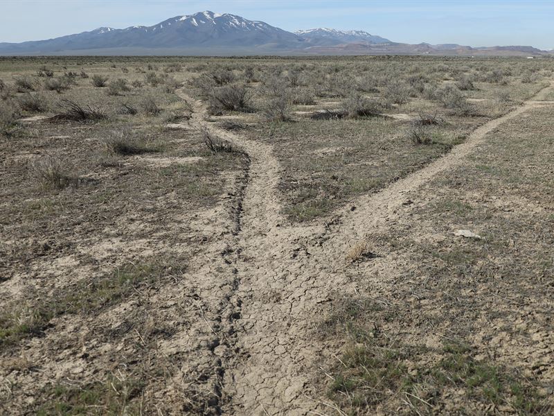 Buy Land, Bring Friends, Save Money : Valmy : Humboldt County : Nevada
