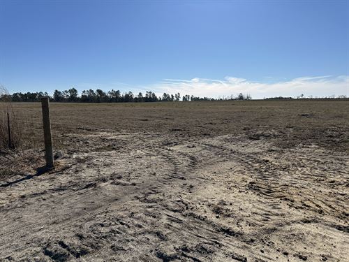 $0 Down & Owner Financed : Swainsboro : Emanuel County : Georgia