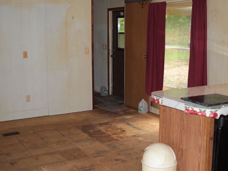 Secluded Bull Shoals Lakeview Home : Theodosia : Marion County : Missouri