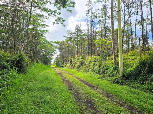 Beautiful Lot in Nanawale Estates : Puna : Hawaii County : Hawaii