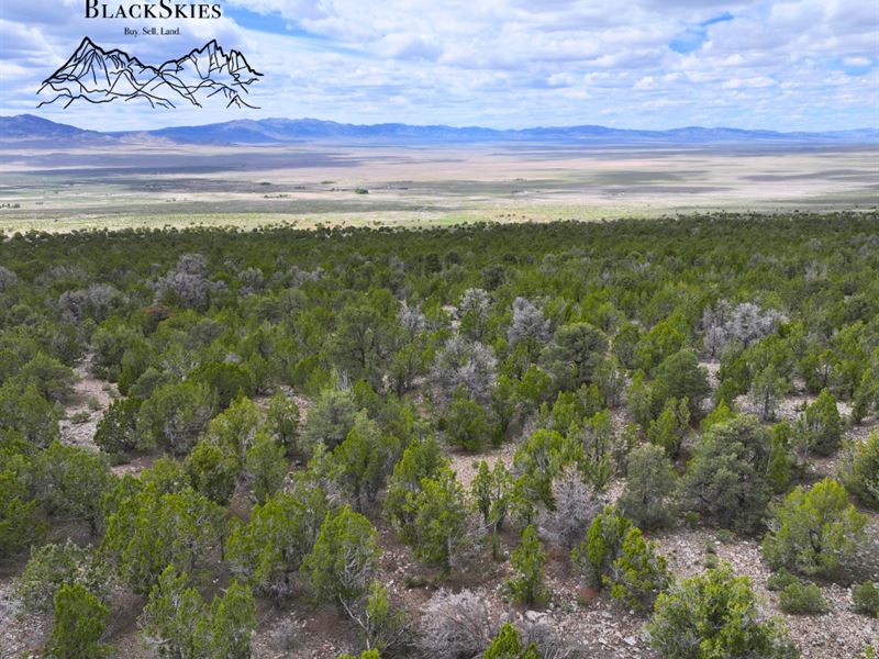 10 Acres of Wild Nevada Beauty : West Wendover : Elko County : Nevada