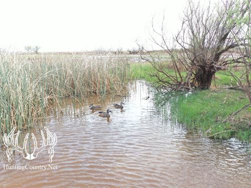 Barber County, Kansas 318 Acres M/L : Hazelton : Barber County : Kansas