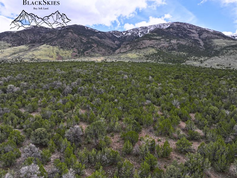 Escape Now 10 Acre Retreat : West Wendover : Elko County : Nevada