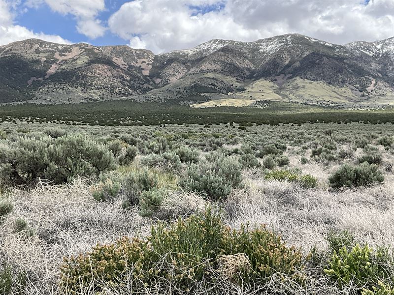 Escape Now 10 Acre Retreat : West Wendover : Elko County : Nevada