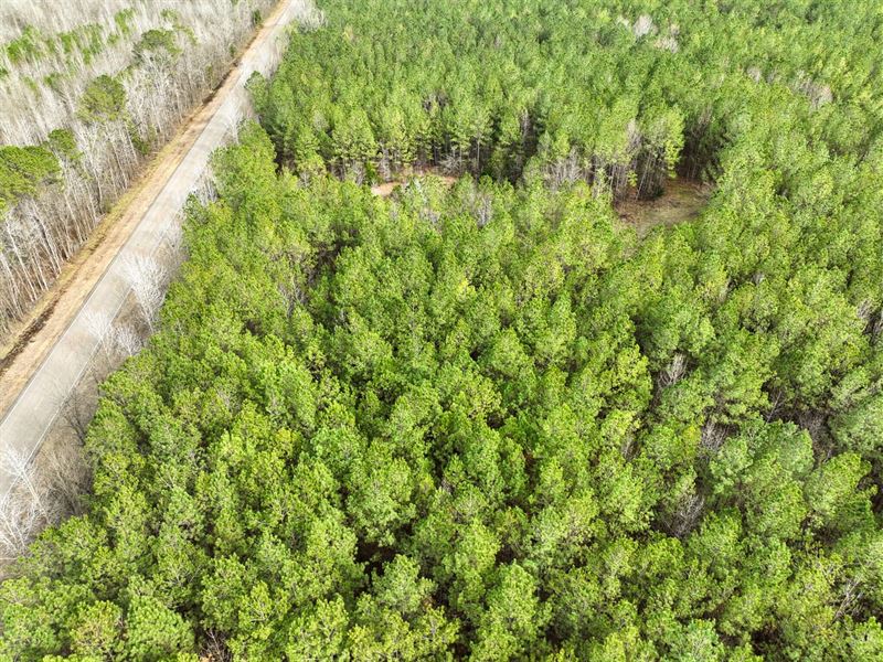 10 Acre Homesite Opportunity in Mat : Mathews : Montgomery County : Alabama