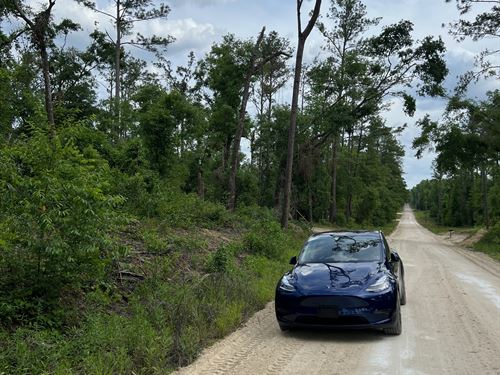 Live in Freedom in Florida : Live Oak : Suwannee County : Florida