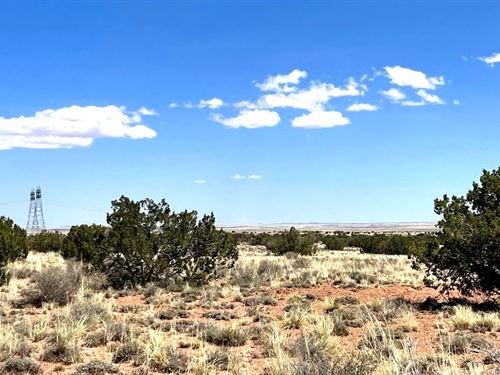 Power & Trees $125-$250 a Month : Snowflake : Navajo County : Arizona