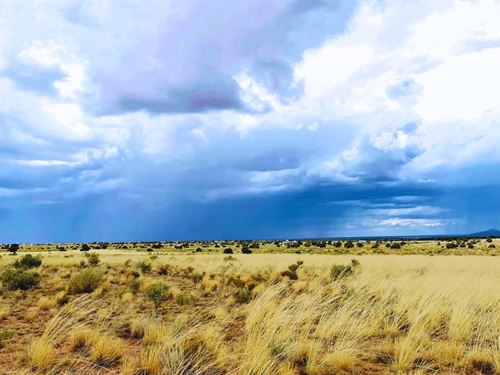 Get Away From It All at $175-$350/M : Williams : Coconino County : Arizona