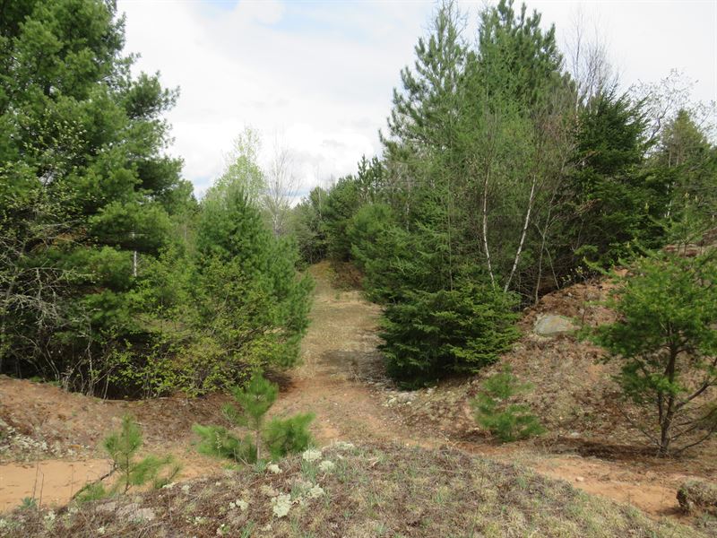 160 Acre Wilderness Retreat 5017539 : Marenisco : Gogebic County : Michigan