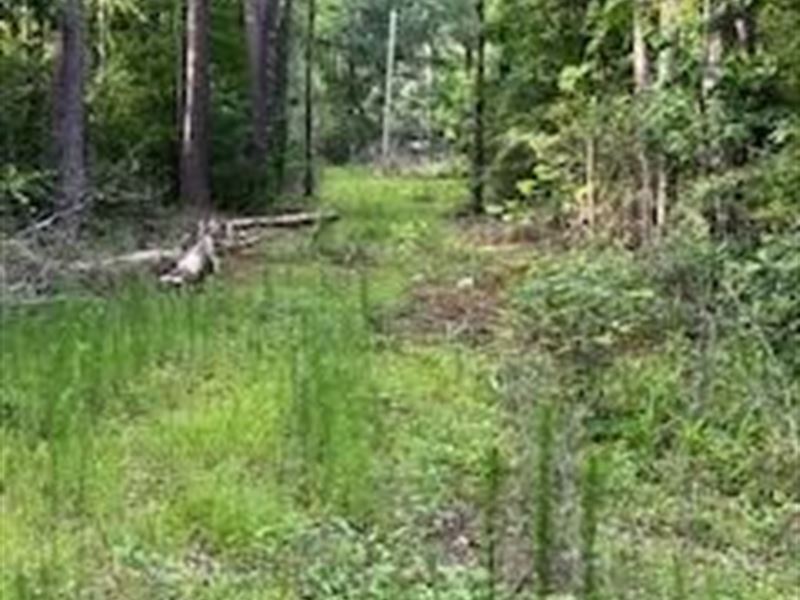 Create Your Dream Home : Brookhaven : Lincoln County : Mississippi