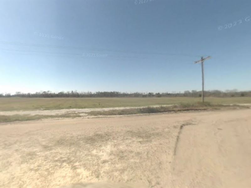 2 Acres Unrestricted Land in Wilcox : Pitts : Wilcox County : Georgia