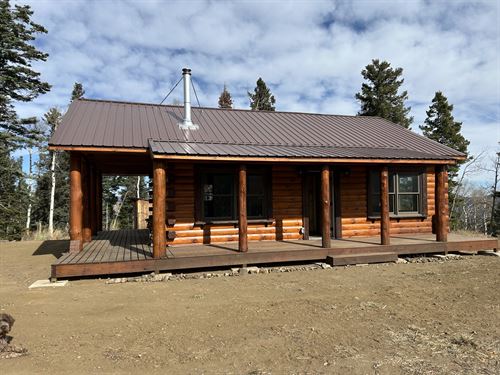 Ophir Creek Cabin : Wetmore : Custer County : Colorado