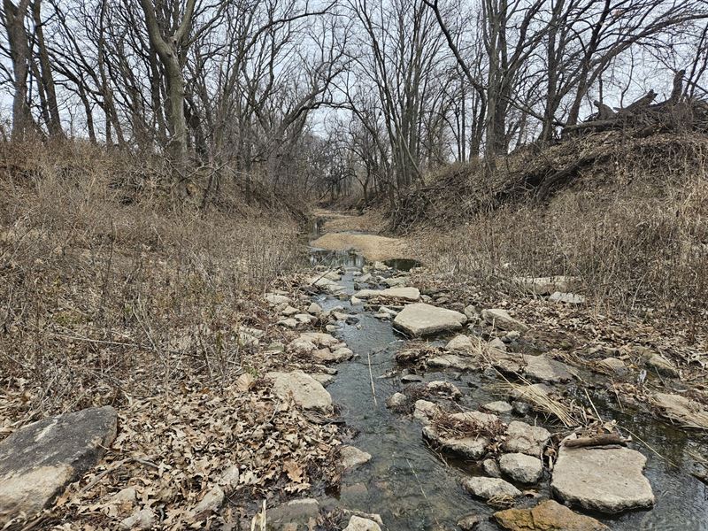 Kirk's Smoky Hill River Bottom : Ellsworth : Ellsworth County : Kansas